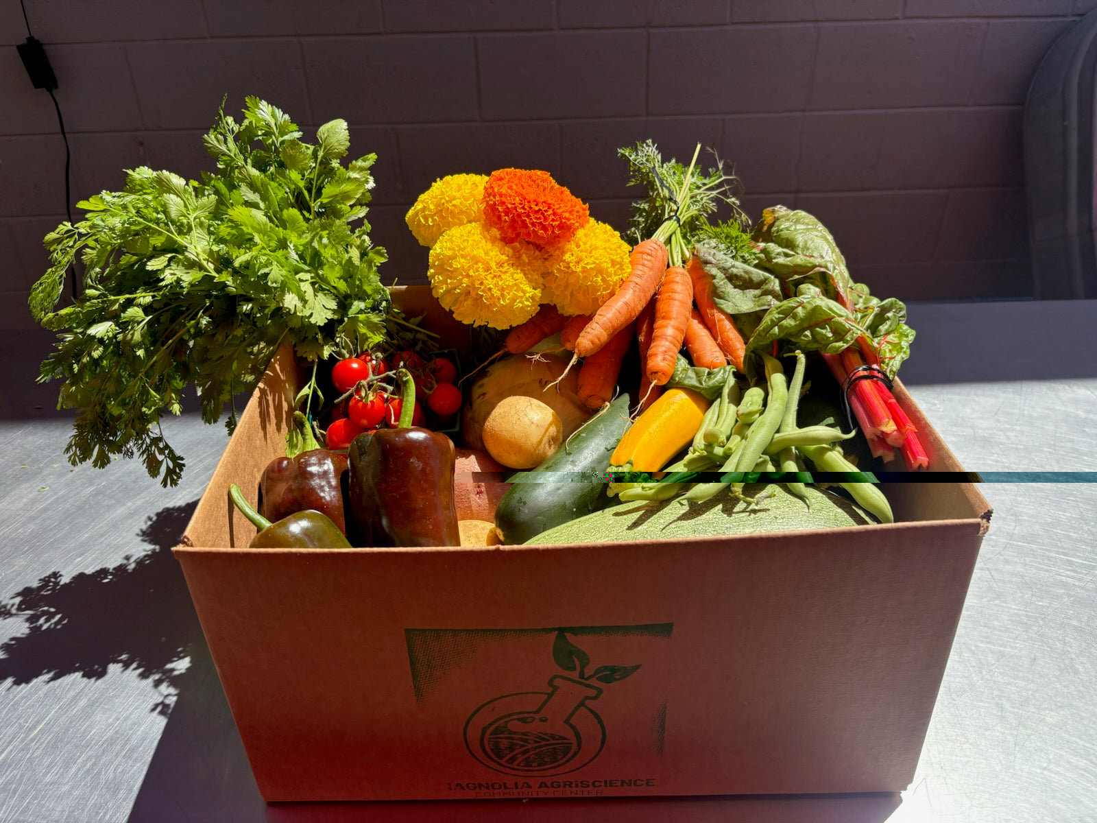 Local Produce Box Large Produce Box – High School Inc. Academies Foundation